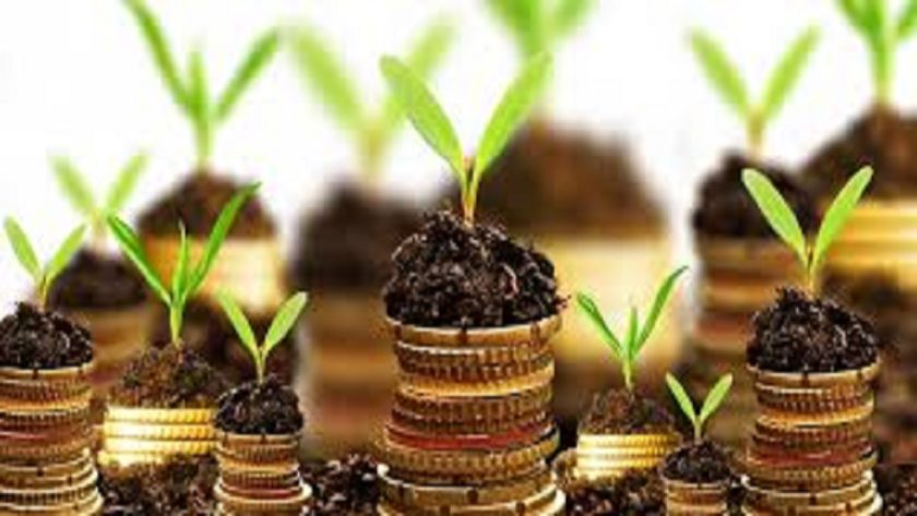 Agribusiness : FG Unveils Post-Harvest System Transformation Programme