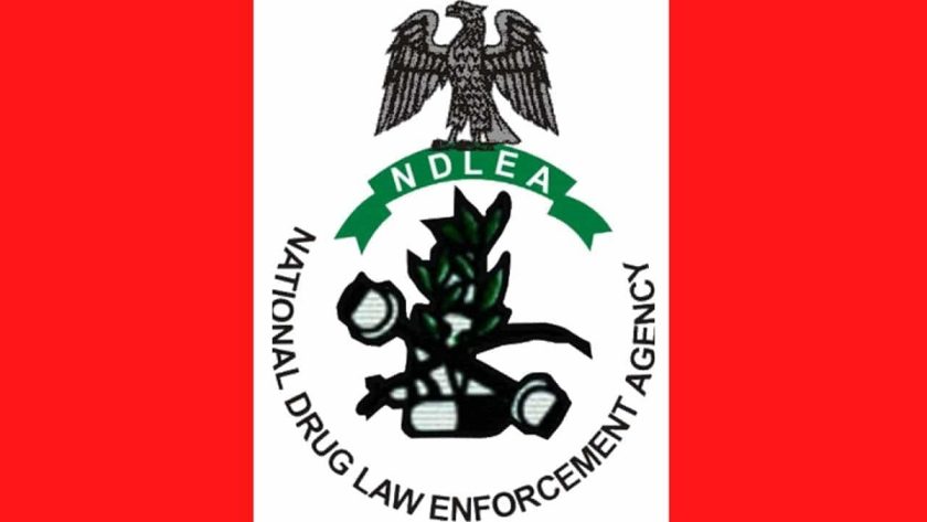 Ndlea Recovers 653Kg Colos, Loud In Lagos, Abuja Raids