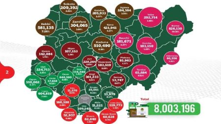 2027 Election: Over 8m Nigerians Complete Pre-Online Registration – INEC