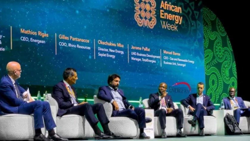 Domestic Gas Key To Nigeria’s Prosperity, Seplat Energy Says
