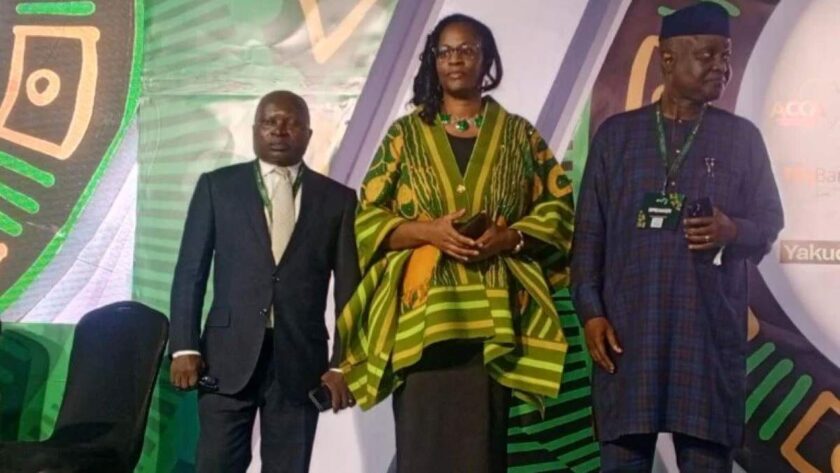 Cardoso Seeks Collaboration for Stronger African Credit System