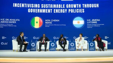 Nigeria Cannot Decarbonise to Poverty — Minister Nigeria Cannot Decarbonise to Poverty — Minister