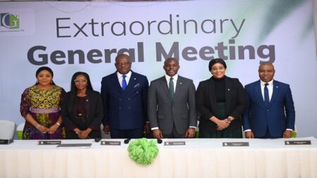 Shareholders Back Guinea Insurance Plc’s Capital Raise