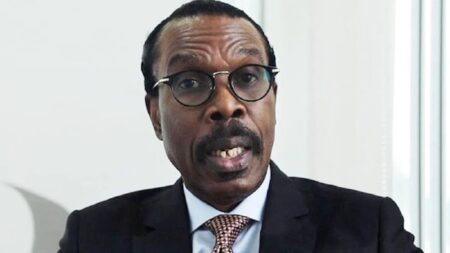 FDC Chief Bismarck Rewane Outlines 2026 Projections for Nigeria