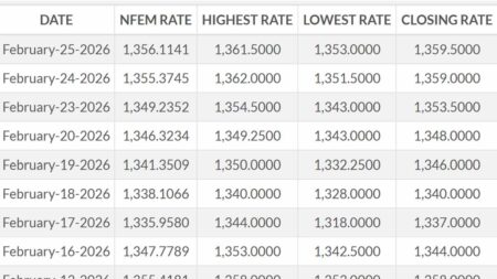 Naira Falls for Sixth Day on Regulator Choice