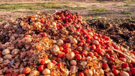 Nigeria Records N5trn Post-Harvest Losses in 2025