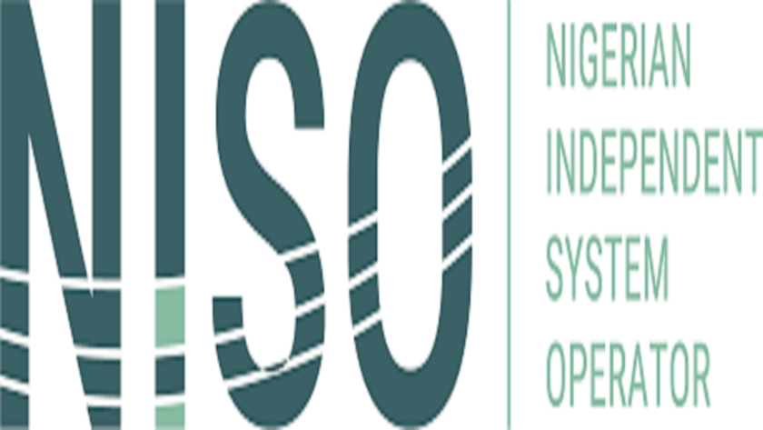Power Generation Falls To 4,300Mw Amid Gas Shortage – Niso