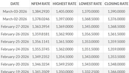 Naira Depreciates for 10-Day Straight, FX Gap Narrows
