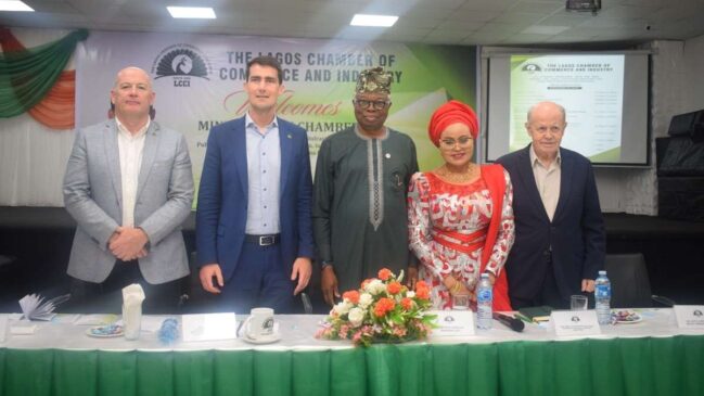 Nigeria, Ireland Move to Deepen Bilateral, Economic Ties 1 Nigeria, Ireland Move to Deepen Bilateral, Economic Ties