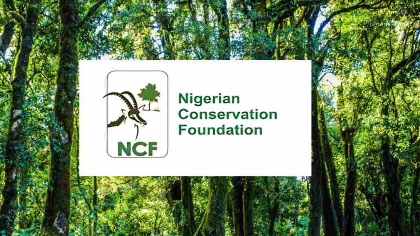 Nigeria Loses Nearly 90% Of Forest Cover In 3 Decades — Ncf