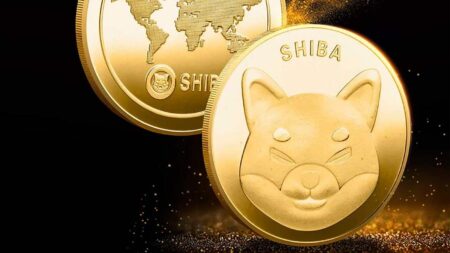 Shiba Inu Gains on Meme Coin Rotation