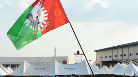 Labour Party Fixes April 28 for Presidential Primary