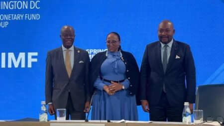 Nigeria Has No Immediate Need For IMF’s Support – Edun