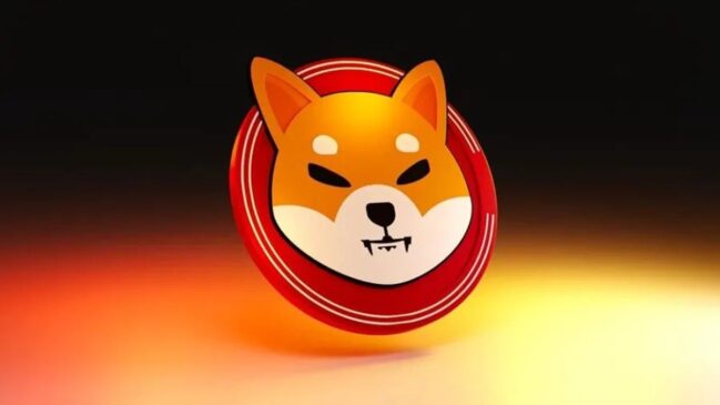 Shiba Inu Price Rises 2.37% to $0.00000625