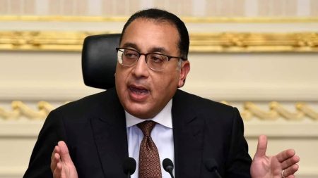 Egypt Launches Transition to Electric Vehicles