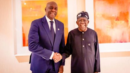 IFC to Explore Livestock, Energy, Housing Investment in Nigeria
