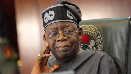 Tinubu Pitching Nigeria’s Business Case to Africa – Presidency