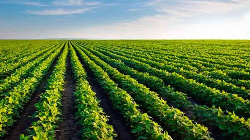 FG Seeks Stronger Stakeholder Participation In Agro-Processing Zones
