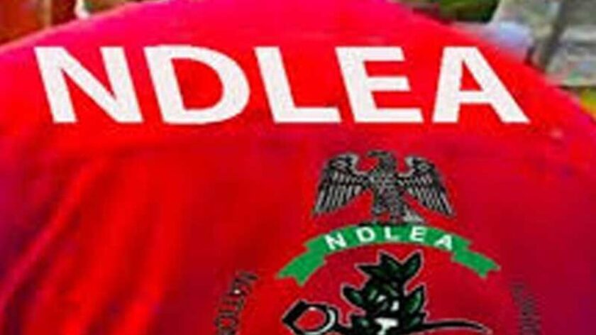 NDLEA Dismantles Another Industrial Meth Lab, Arrests Fleeing Mexican Kingpin