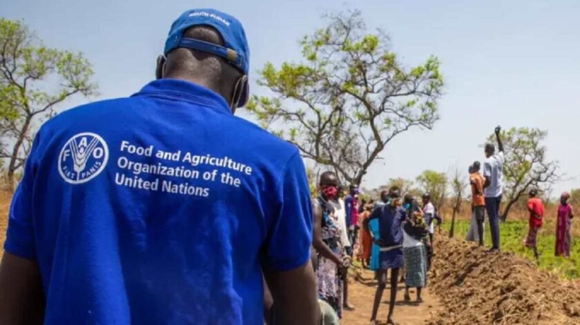 Africa May Account for 60% of Hungry People – FAO Ambassador